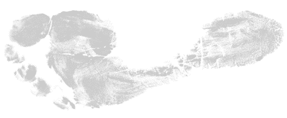 A Footprint representing the Footprint dashboard for a SEO company and digital marketing services